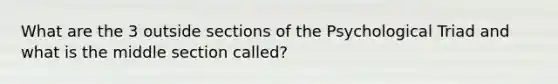 What are the 3 outside sections of the Psychological Triad and what is the middle section called?