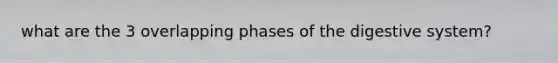 what are the 3 overlapping phases of the digestive system?