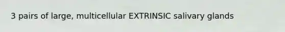 3 pairs of large, multicellular EXTRINSIC salivary glands