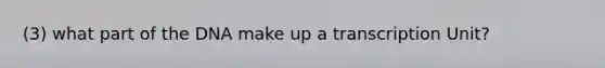 (3) what part of the DNA make up a transcription Unit?