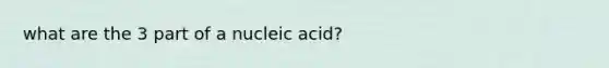 what are the 3 part of a nucleic acid?