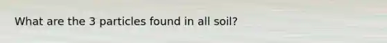 What are the 3 particles found in all soil?