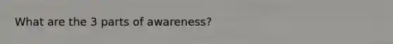 What are the 3 parts of awareness?