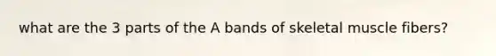 what are the 3 parts of the A bands of skeletal muscle fibers?