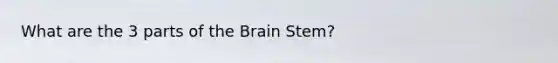 What are the 3 parts of the Brain Stem?