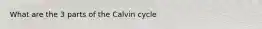 What are the 3 parts of the Calvin cycle