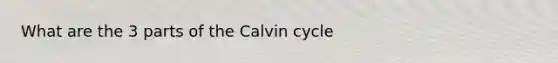 What are the 3 parts of the Calvin cycle