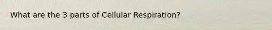 What are the 3 parts of Cellular Respiration?