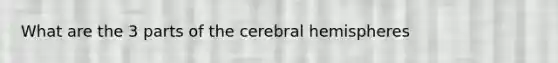 What are the 3 parts of the cerebral hemispheres