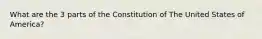 What are the 3 parts of the Constitution of The United States of America?