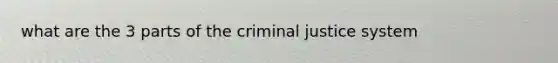 what are the 3 parts of the criminal justice system