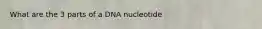 What are the 3 parts of a DNA nucleotide