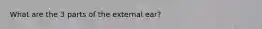 What are the 3 parts of the external ear?