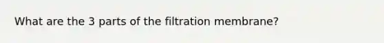 What are the 3 parts of the filtration membrane?