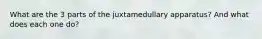 What are the 3 parts of the juxtamedullary apparatus? And what does each one do?