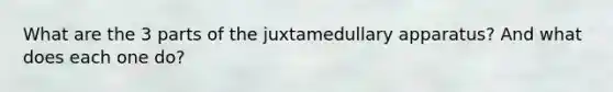 What are the 3 parts of the juxtamedullary apparatus? And what does each one do?