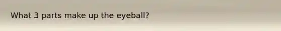 What 3 parts make up the eyeball?