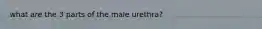 what are the 3 parts of the male urethra?