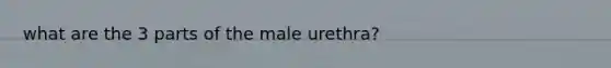 what are the 3 parts of the male urethra?