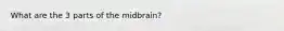 What are the 3 parts of the midbrain?