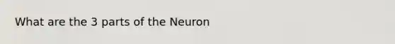 What are the 3 parts of the Neuron