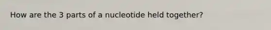 How are the 3 parts of a nucleotide held together?