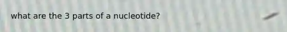 what are the 3 parts of a nucleotide?