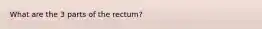 What are the 3 parts of the rectum?