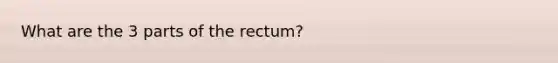 What are the 3 parts of the rectum?