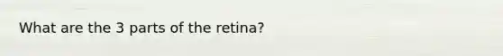 What are the 3 parts of the retina?