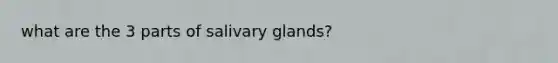 what are the 3 parts of salivary glands?