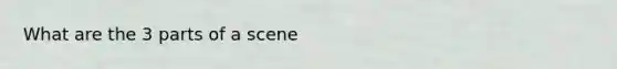 What are the 3 parts of a scene