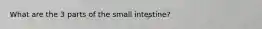 What are the 3 parts of the small intestine?