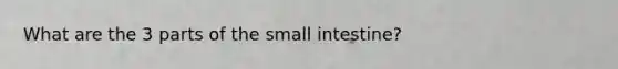 What are the 3 parts of the small intestine?