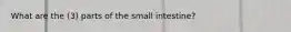 What are the (3) parts of the small intestine?