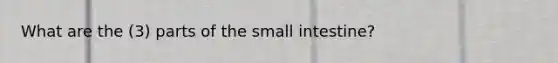 What are the (3) parts of the small intestine?