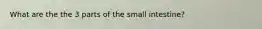 What are the the 3 parts of the small intestine?