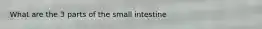 What are the 3 parts of the small intestine