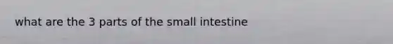 what are the 3 parts of the small intestine