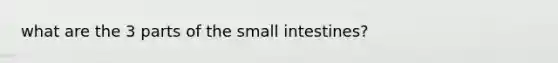 what are the 3 parts of the small intestines?