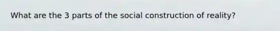 What are the 3 parts of the social construction of reality?