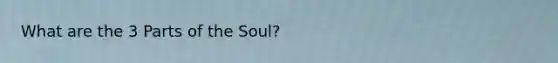 What are the 3 Parts of the Soul?