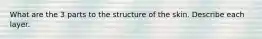 What are the 3 parts to the structure of the skin. Describe each layer.