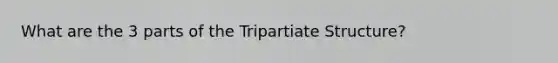 What are the 3 parts of the Tripartiate Structure?