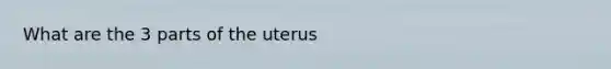 What are the 3 parts of the uterus