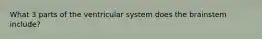 What 3 parts of the ventricular system does the brainstem include?