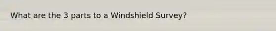 What are the 3 parts to a Windshield Survey?