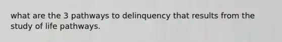 what are the 3 pathways to delinquency that results from the study of life pathways.