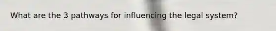 What are the 3 pathways for influencing the legal system?