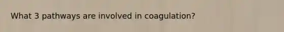 What 3 pathways are involved in coagulation?